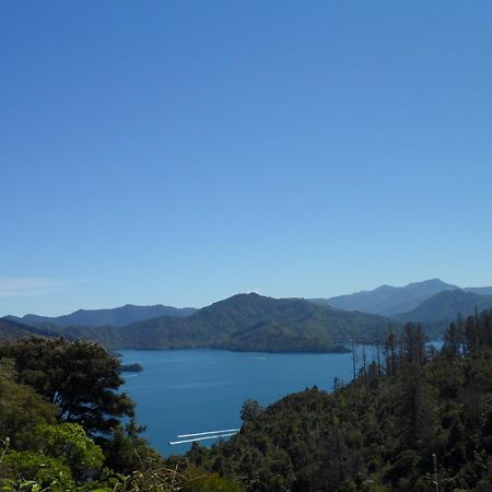 Sequoia Lodge Backpackers Picton Bagian luar foto